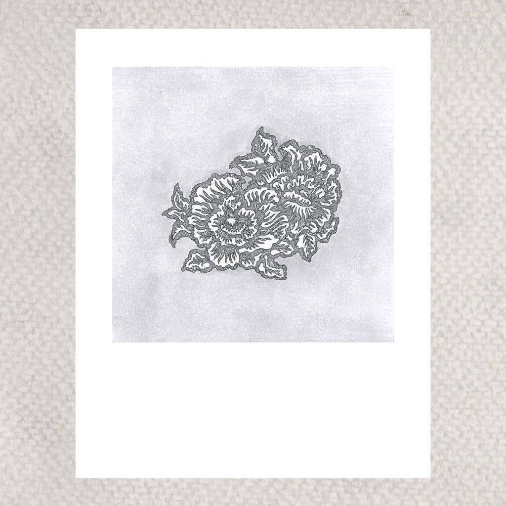 BLOOMING II (Limited Print)