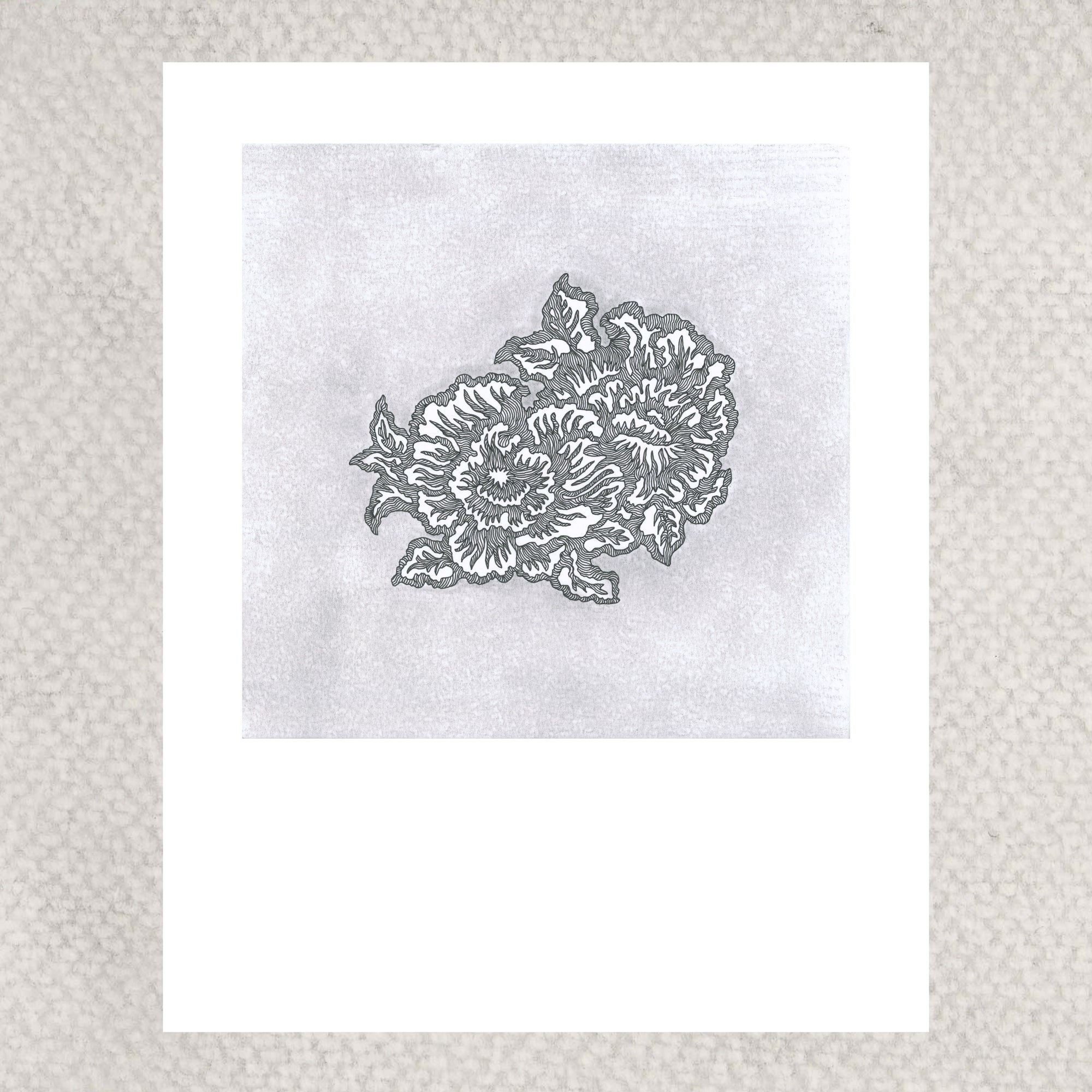 BLOOMING II (Limited Print)