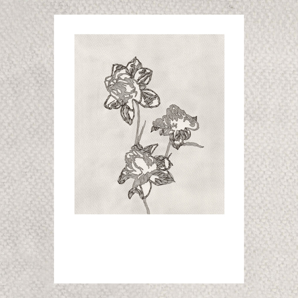PEONY (Limited Print)