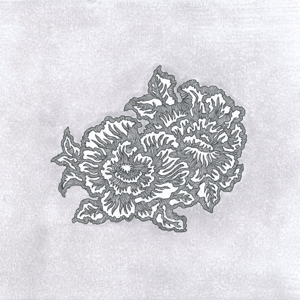 BLOOMING II (Original Drawing)