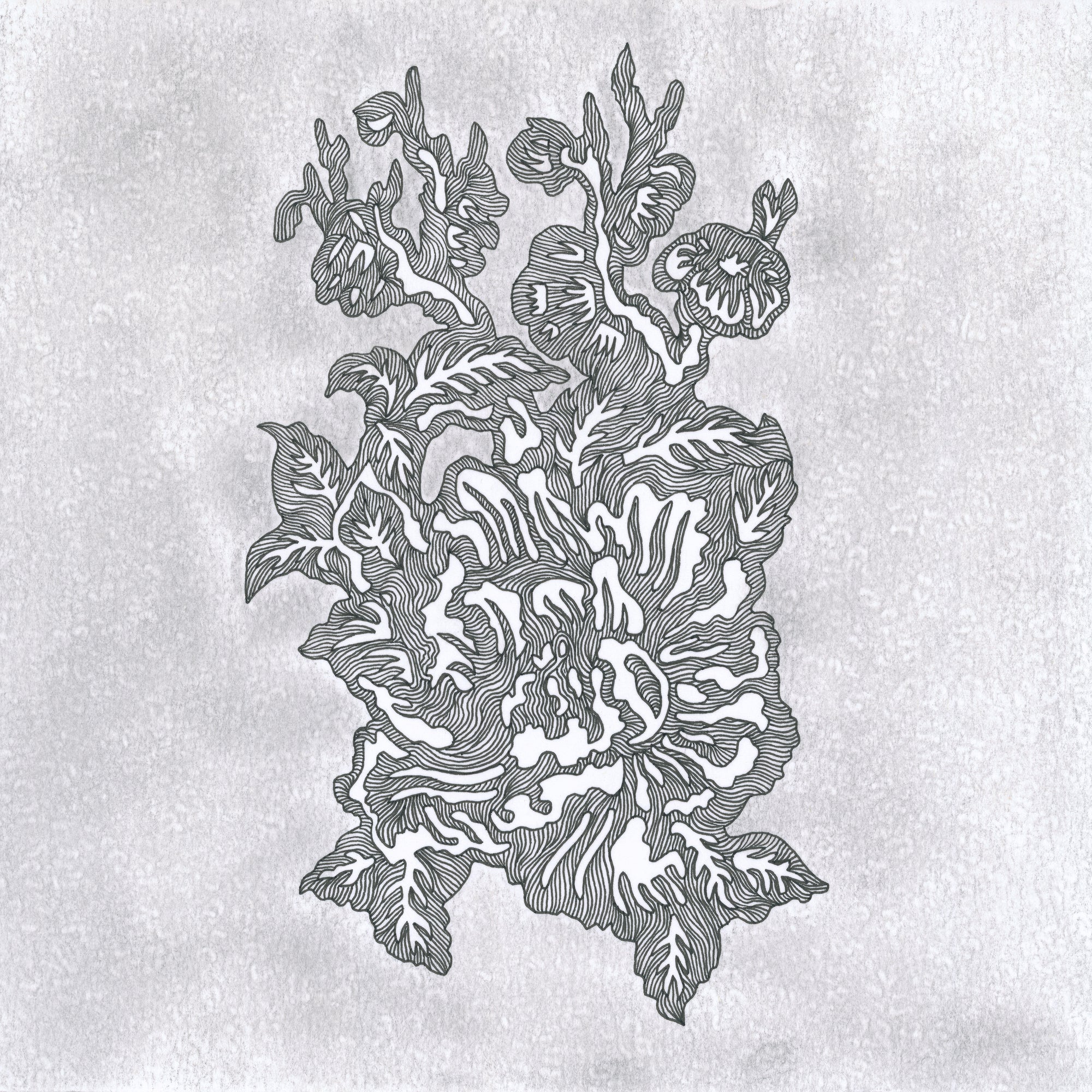 BLOOMING I (Original Drawing)