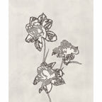 PEONY (Original Drawing)