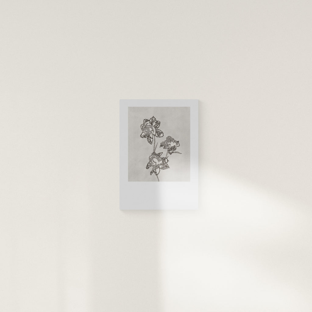 PEONY (Limited Print)