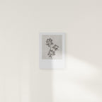 PEONY (Limited Print)