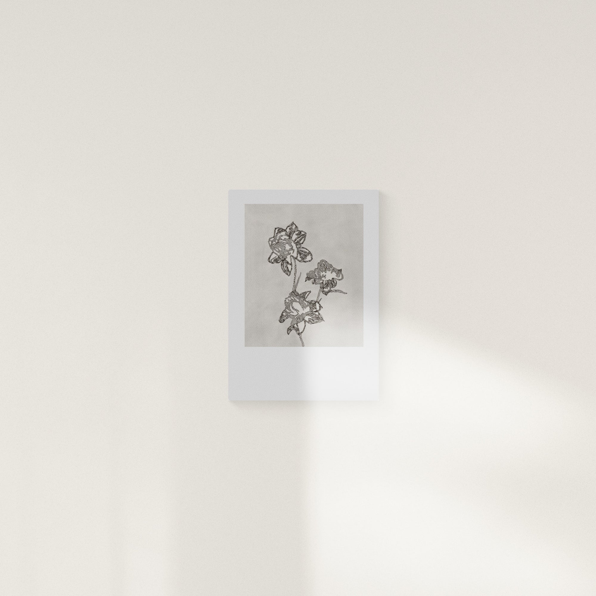 PEONY (Limited Print)