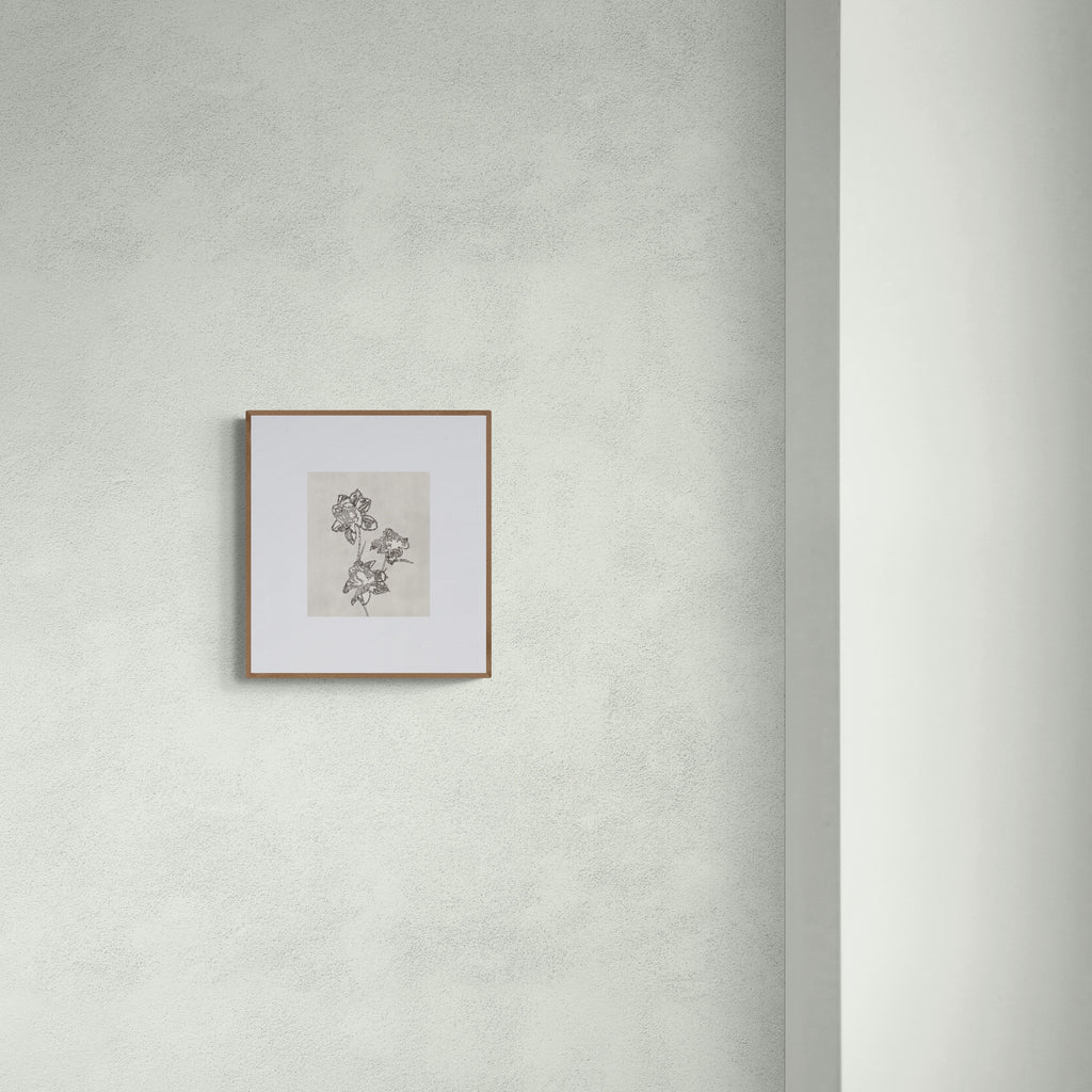 PEONY (Original Drawing)