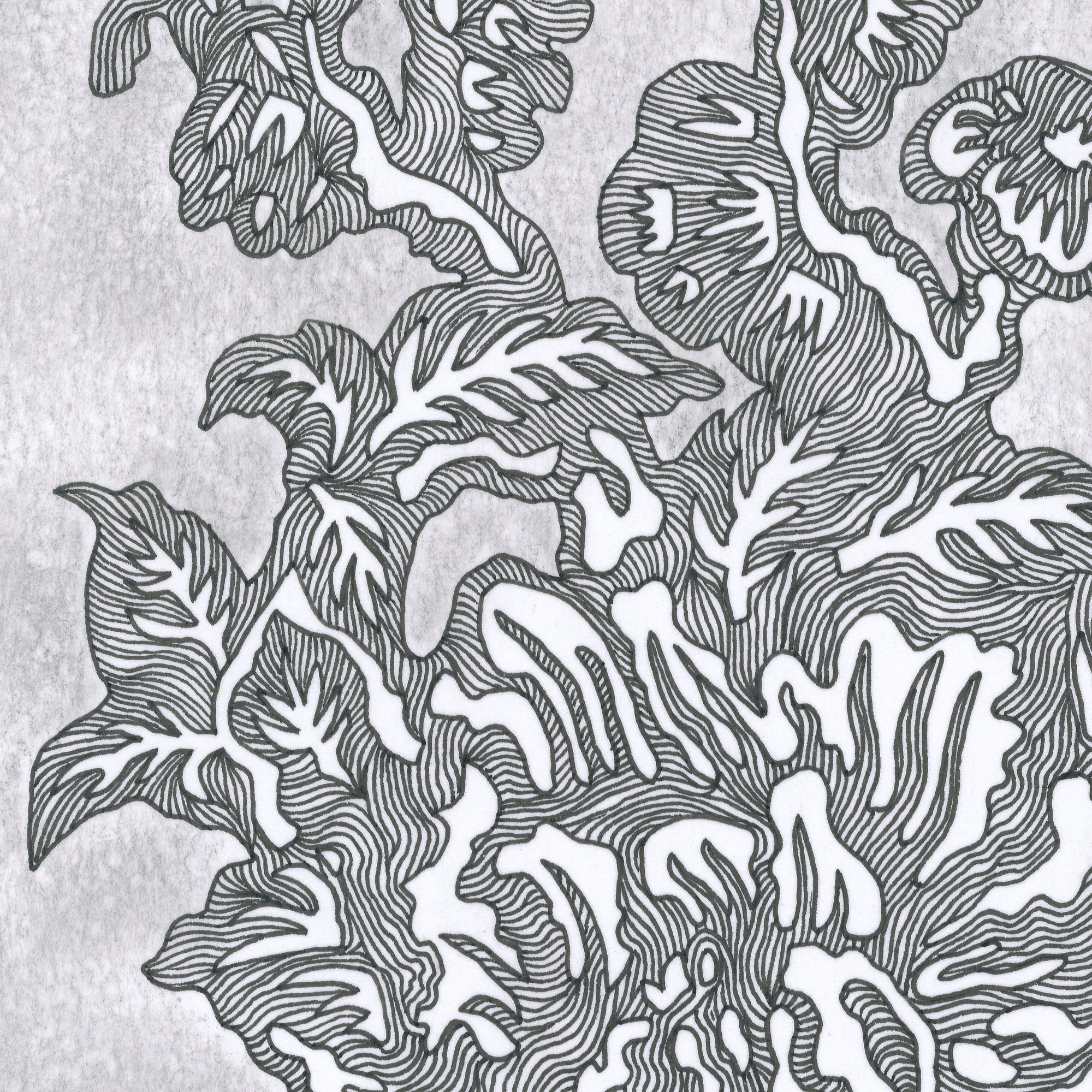 BLOOMING I (Original Drawing)