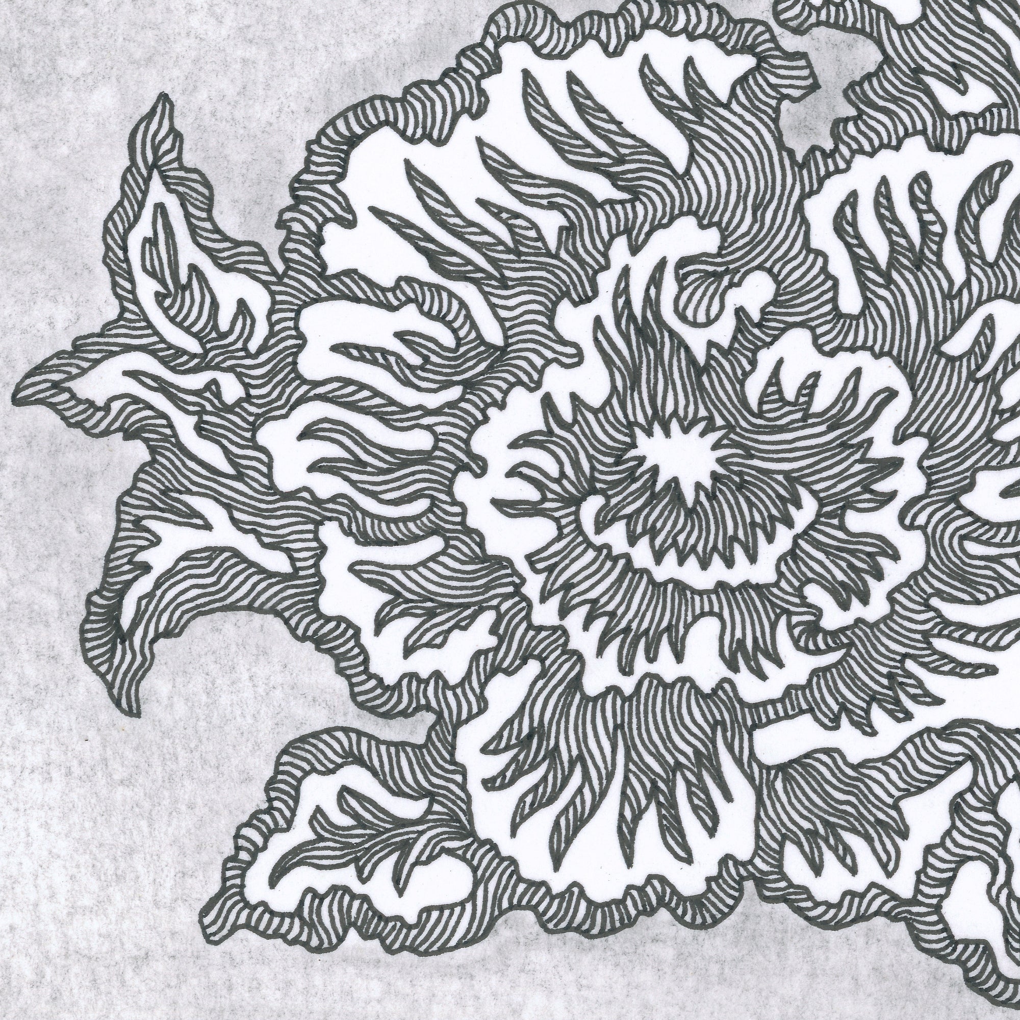 BLOOMING II (Original Drawing)