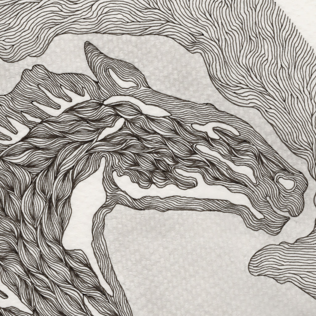 SINGLE HORSE (Original Drawing)