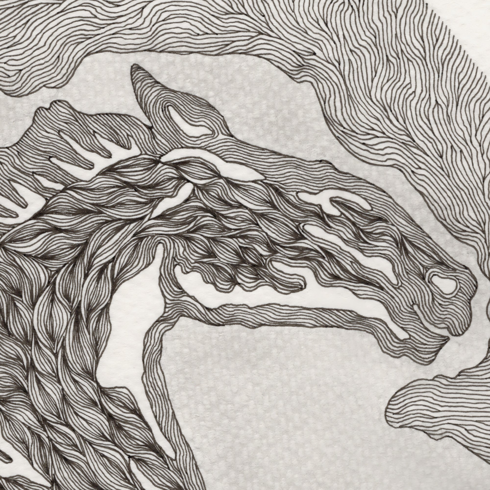 SINGLE HORSE (Original Drawing)