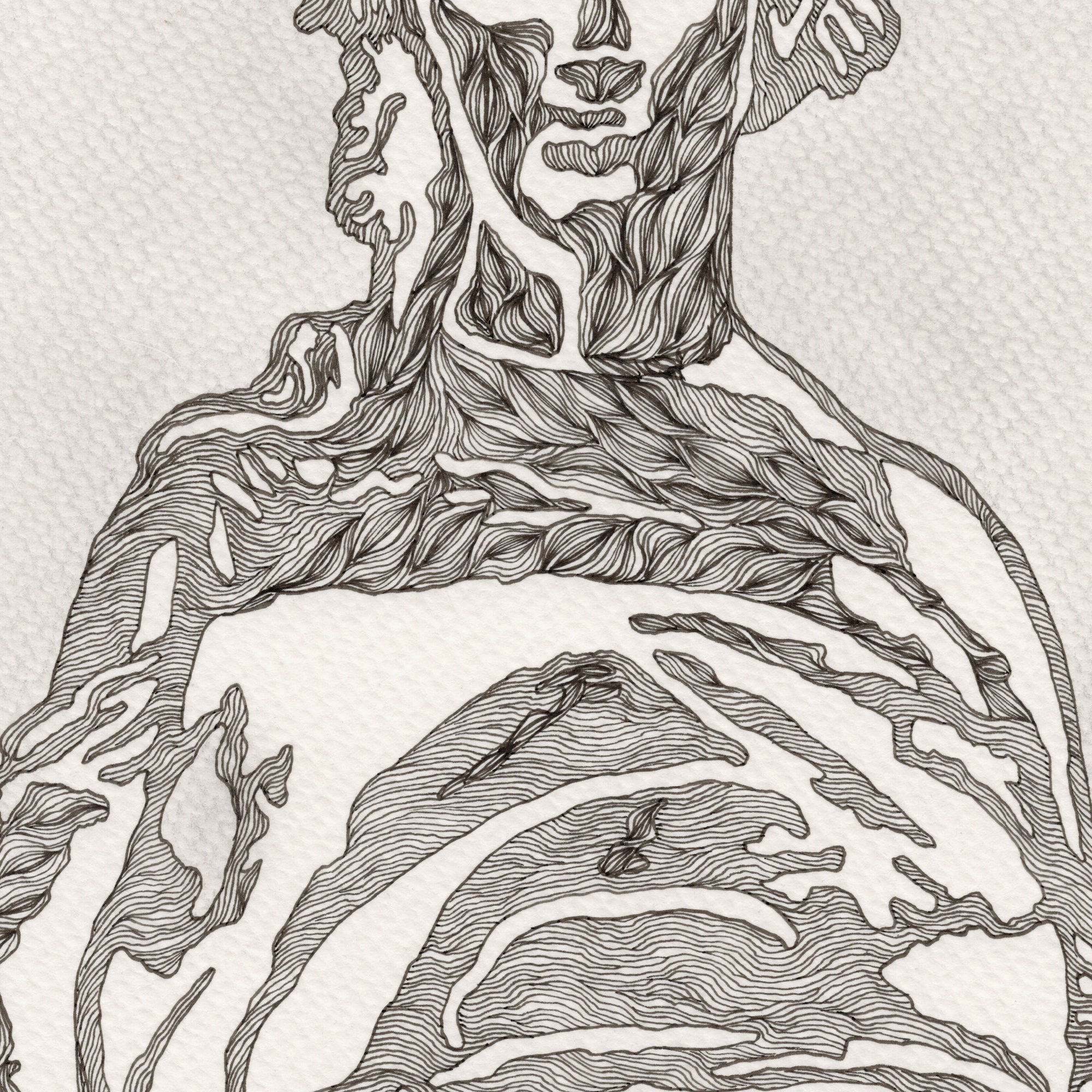 MUSE (Limited Print)