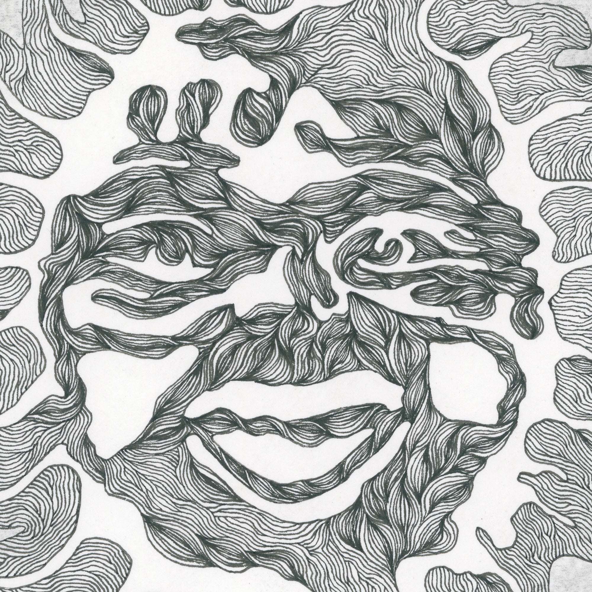 THE SUN (Limited Print)