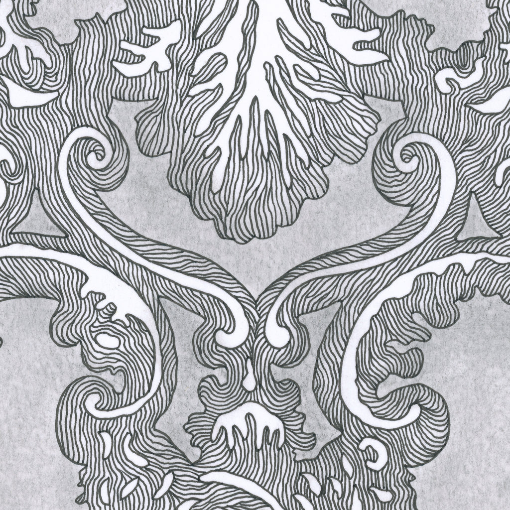 LANDING (Limited Print)