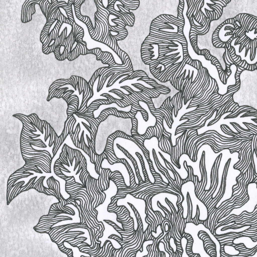 BLOOMING I (Limited Print)