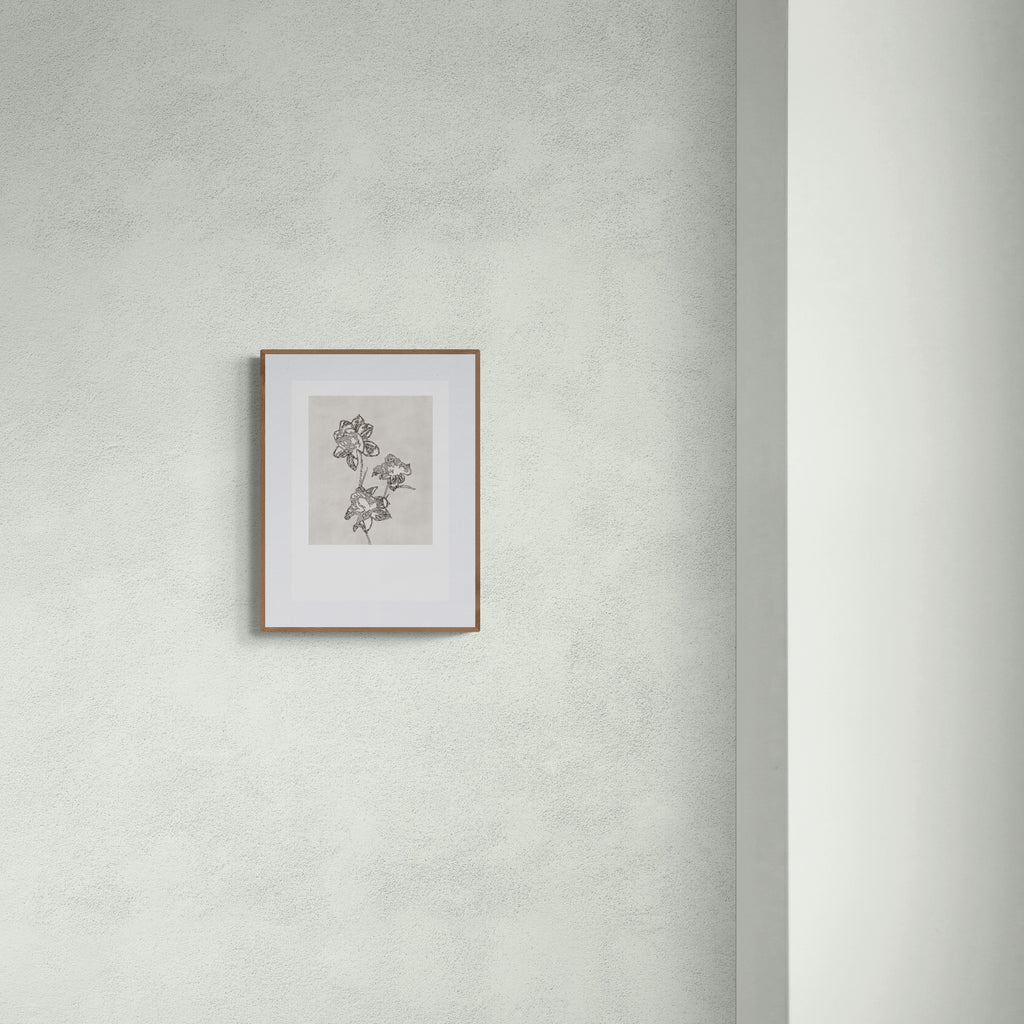 PEONY (Limited Print)