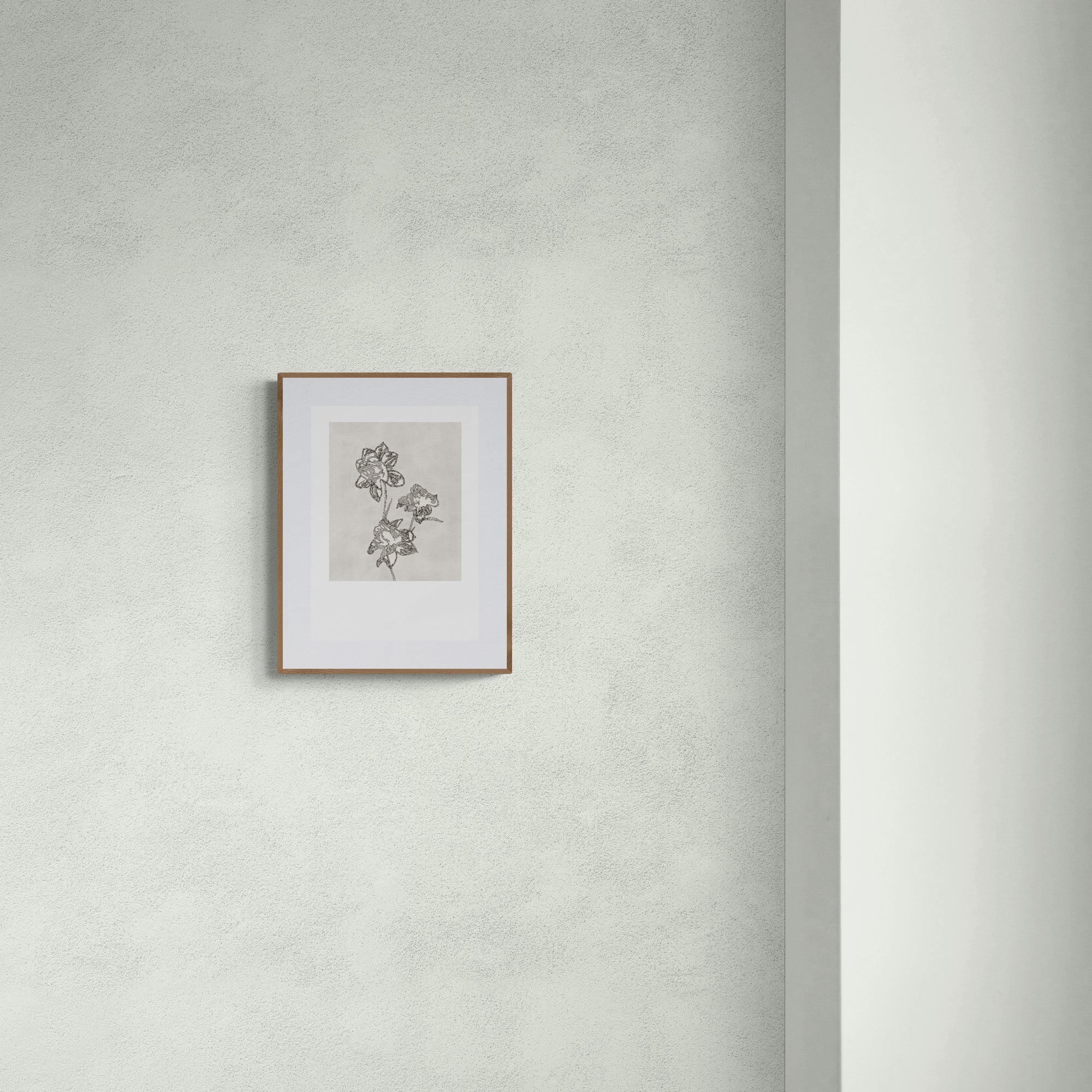 PEONY (Limited Print)